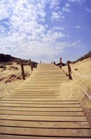 Beach walkway